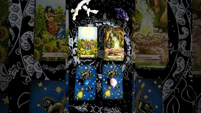 Что он решил? | Мини Таро расклад на 4 позиции смотреть онлайн