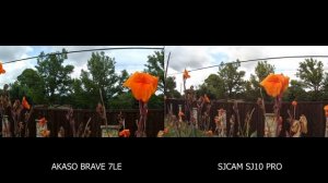 Akaso Brave 7LE vs SJCAM SJ10 Pro