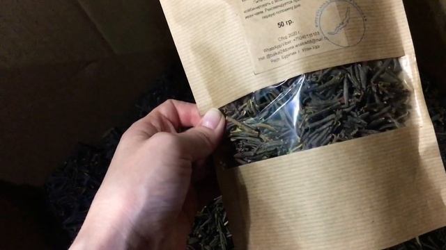 САГААН ДАЛИ. Рододендрон Адамса. Бурятия смотреть онлайн