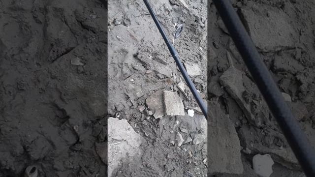 Октябрьская рыбалка на Северском Донце.Щука и камень.