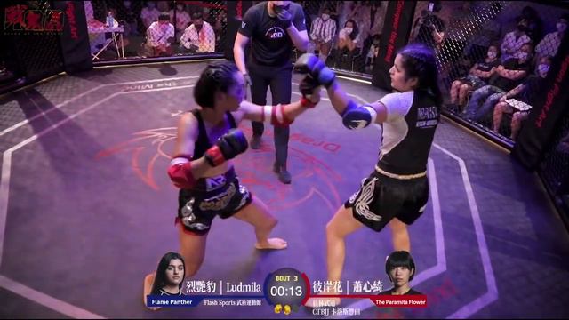 Argentinian TKD Girl Steps Into The Cage - KOD Match (Taekwondo Vs Sanda)