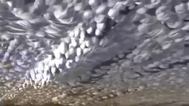 Присадки Супротек Suprotec. Их работа.