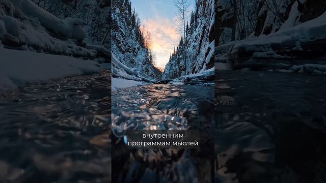 Войди в свое сердце и сохрани свою энергию. Джо Диспенза.