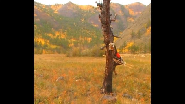 Посох Самурая смотреть онлайн