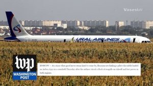 ЧУДО НА КУКУРУЗНОМ ПОЛЕ - Комментарии со всего мира