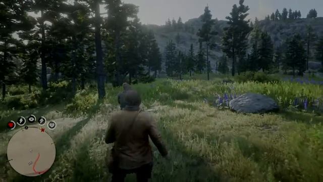 Red Dead Redemption 2 beary surprise смотреть онлайн