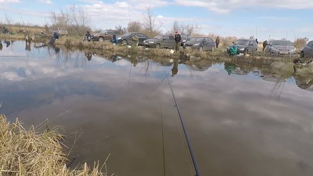 Ловля карася весной на поплавок ( червь опарыш) смотреть онлайн