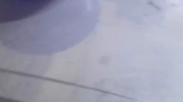 Будние дни хвостатых... Скоро будут готовы вольеры 🤗 смотреть онлайн