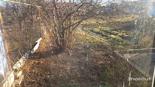 наши новогодние дни смотреть онлайн