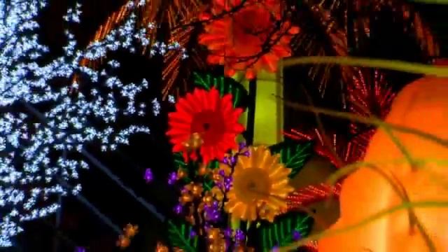 пальмы деревья кактусы смотреть онлайн