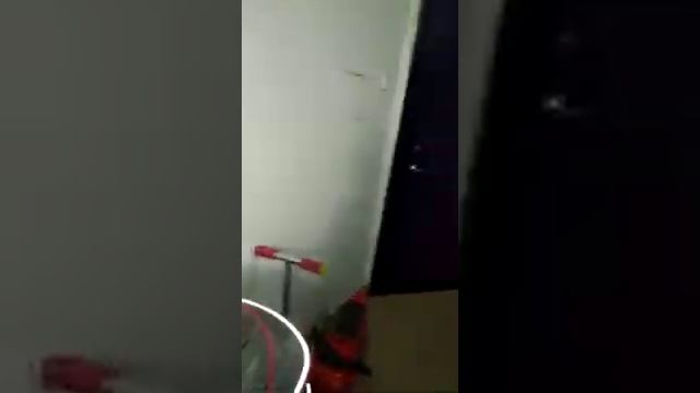 Сова залетела в окно! смотреть онлайн