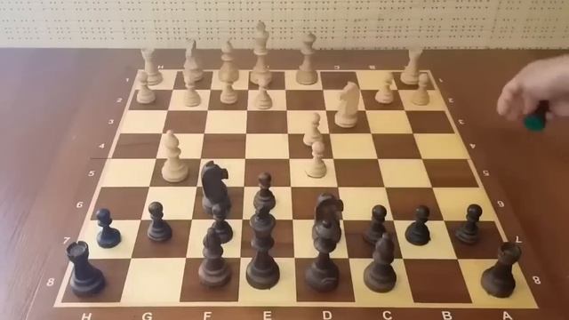 Самый опасный ход в начале партии! Эту ЛОВУШКУ должен знать каждый! Шахматы ловушка! смотреть онлайн