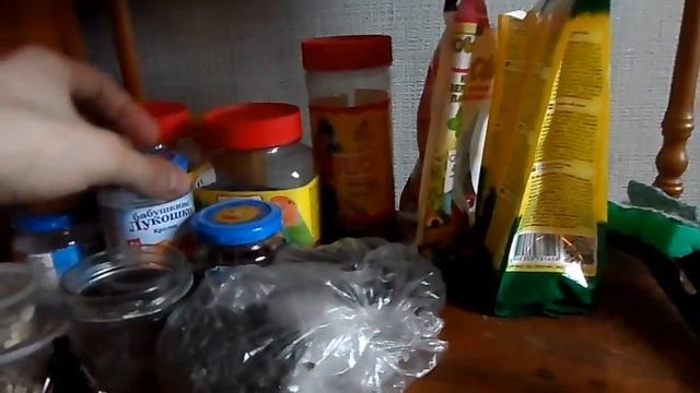 ЧТО С СНЕГИРЕМ? | ЧЕМ Я КОРМЛЮ ПТИЦ? смотреть онлайн