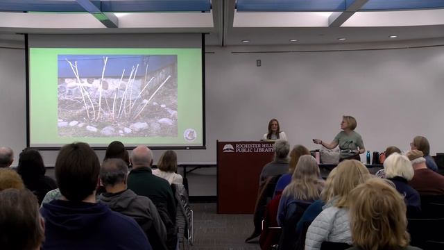 How To Prepare Your Garden For Spring Planting