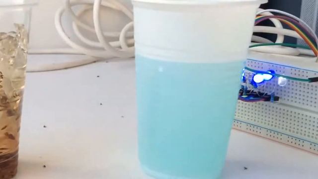 Добавляю гидрогель к газону в земле - Газон дома смотреть онлайн