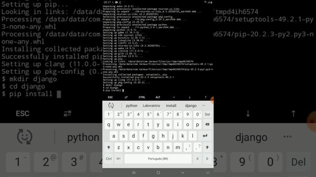 Como programar web em um celular Android - com Python e Django - parte 1 смотреть онлайн