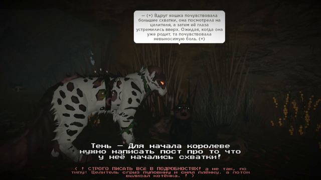 Black Paw's— Как принимать роды у кошки в Warrior Cat's? #warriorcats #рек #wcue #рекомендации #вре