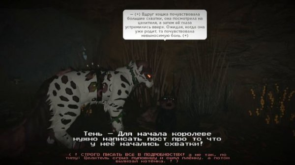 Black paw's— Как принимать роды у кошки в Warrior cat's? #warriorcats #рек #wcue #рекомендации #вре