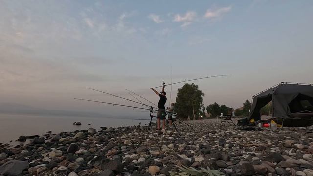 Заброс карповым удилищем - sportex impressive и catapult cs-3 spod 8 lbs. смотреть онлайн