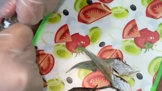 Малосольная и очень жирная Чехонь смотреть онлайн