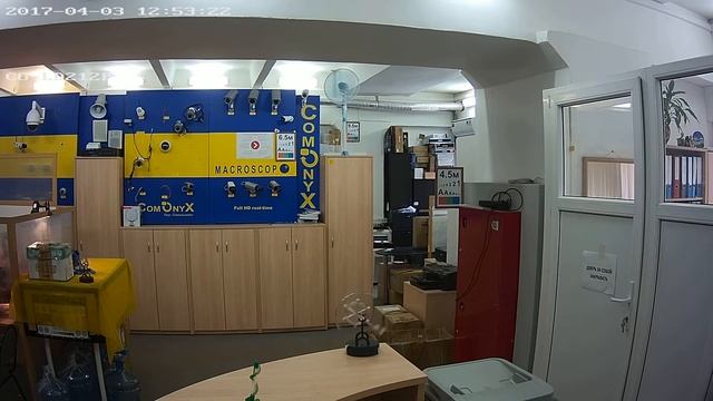Купольная IP-камера CO-LD212P. Офис день. смотреть онлайн