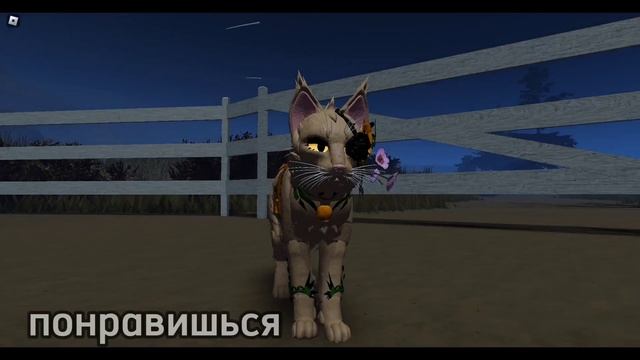сердце необычная кошка детятко…#котывоители #роблокс #warriorcats смотреть онлайн