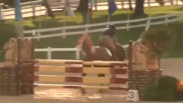 Video of BALIO ridden by CARLOS QUINONES from ShowNet! смотреть онлайн