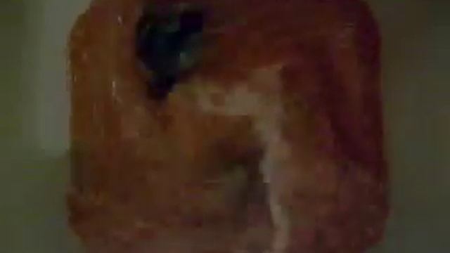 Так делают томатный сок?