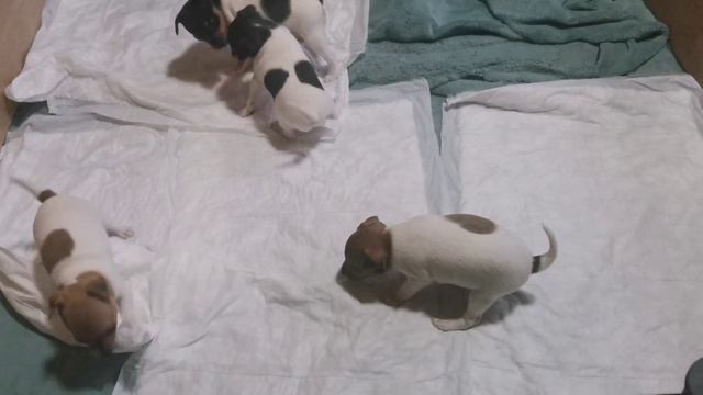 25 октября 2022 г. смотреть онлайн