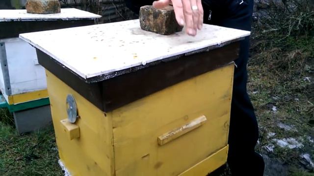 Осмотр пчел в феврале смотреть онлайн