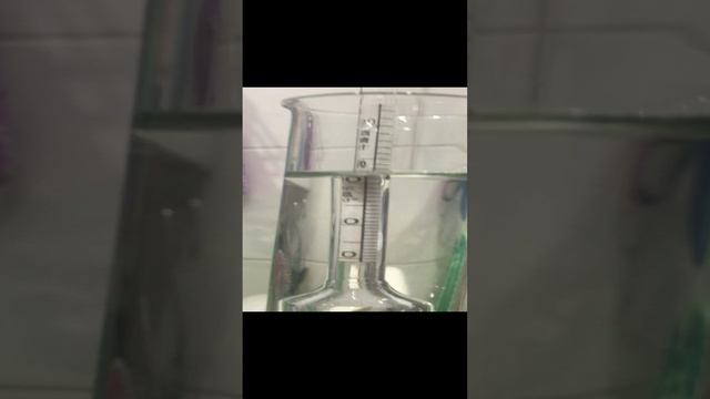 Родник Про 2