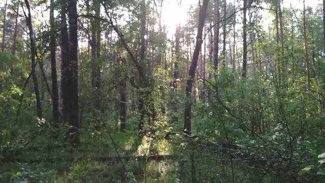 21 мая Спасибо всем, кто нам мешает смотреть онлайн