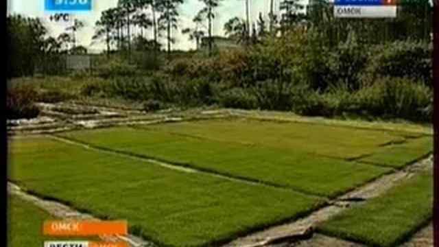 Ландшафтный дизайн смотреть онлайн