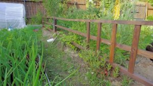 Огородный забор своими руками. Ограждение от собаки.