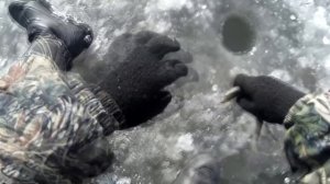НАШЕЛ РЫБНУЮ ТРОПУ! КОСЯКИ ЗУБАТКИ И СЕЛЁДКИ! Зимняя рыбалка на самодур.