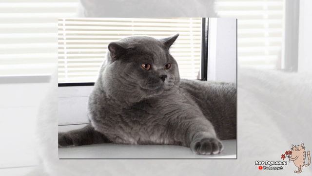 Ароматные Эксперименты