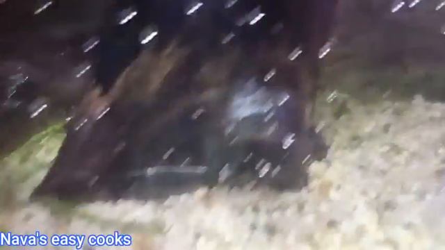 Underwater Zoo in Dubai Mall смотреть онлайн