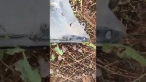 Передний бампер хендай элантра 6