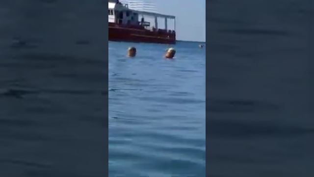 Черное море.Побережье.Karadeniz.the black sea.#черноеморе,#blacksea,#karadeniz смотреть онлайн