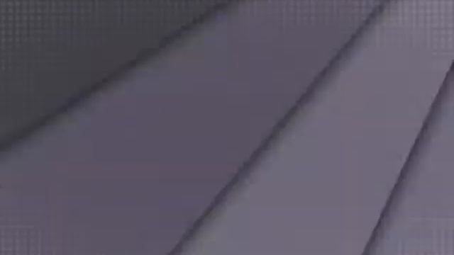 Милые собачки разных пород смотреть онлайн