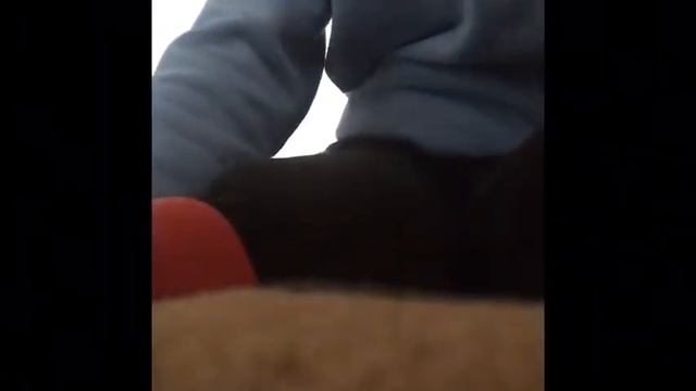 День пингвина смотреть онлайн