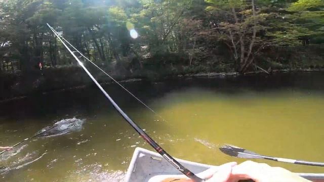 Float Fishing GIANT KING SALMON! (BOBBER DOWNS) 2022 смотреть онлайн