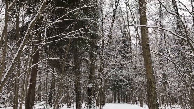 Одним снежным днём... смотреть онлайн