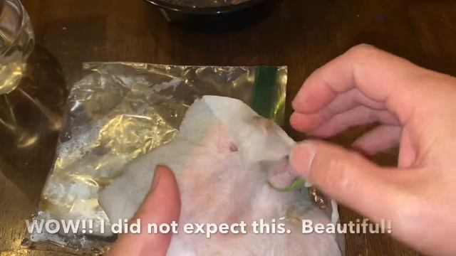 How To Grow Rambutan From Seed.