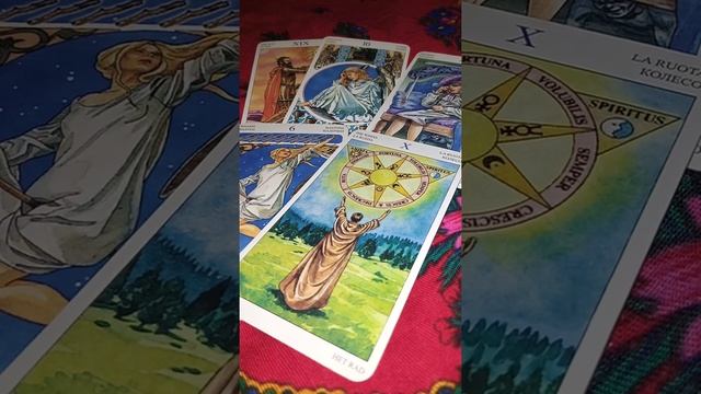 Чего добивается скандалист? смотреть онлайн