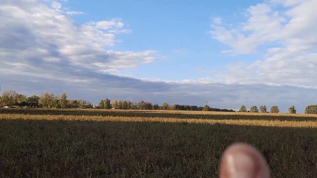 Похожий день 2, Заветы Ильича, Пушкино, 17.09.2022 смотреть онлайн