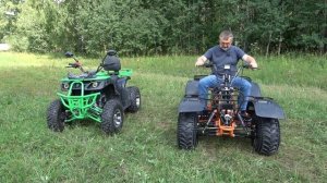 Большое сравнение квадроциклов Механик - 3 и Avantis