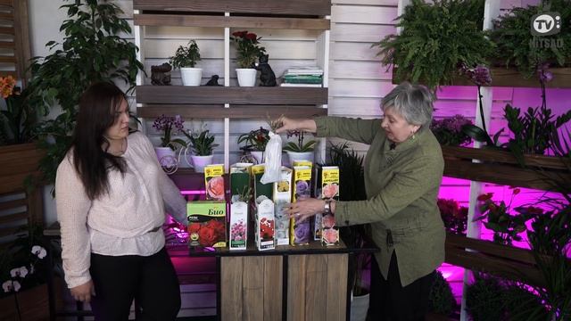 КАКИЕ РОЗЫ Выбрать ? ТОП Вопросы о Розах ? Советы от Хитсад ТВ виды роз смотреть онлайн