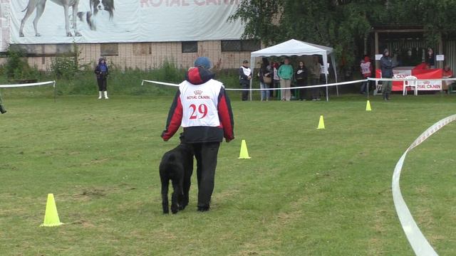 Чемпионат ЦФО 2017 г. по ОКД и ЗКС. смотреть онлайн