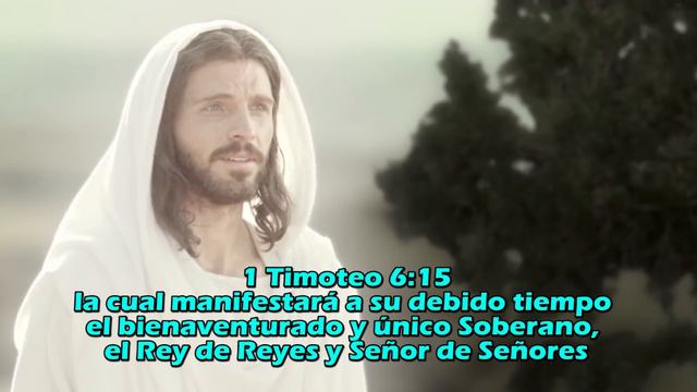 Hno Javier Choque Lágrimas x Amor a Cristo ▶Yo te Seguiré ▶ IMAGEN STUDIOS™ 2018 смотреть онлайн